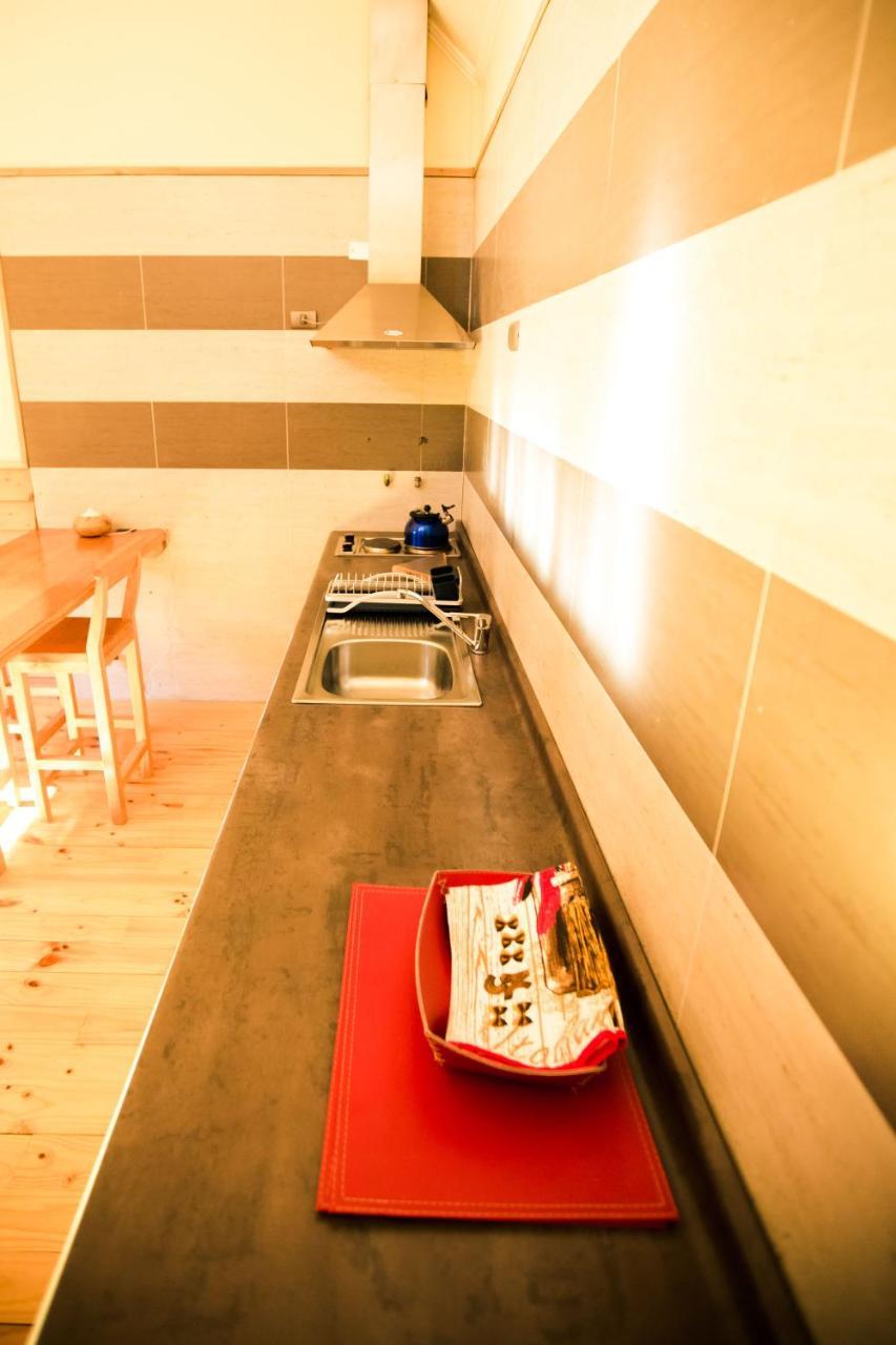 Kalfu Patagonia Aparthotel Cochrane Εξωτερικό φωτογραφία